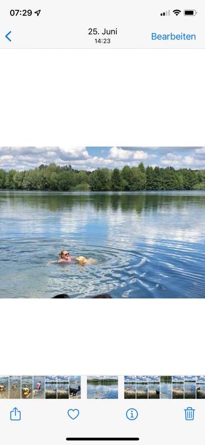 Fotochallenge 108: Starkes Team-Beitrag-Bild