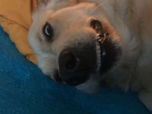 Fotochallange 84-Beitrag-Bild