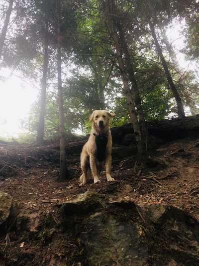 Fotochallenge Nr.100 Urlaubsimpressionen-Beitrag-Bild