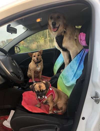 141. FOTO CHALLENGE 
Reisende soll man nicht aufhalten-Beitrag-Bild