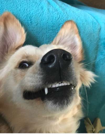 Fotochallenge Nr.122-Beitrag-Bild