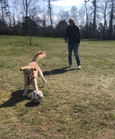 138. Fotochallenge 

(M)Ein Ball und ich-Beitrag-Bild