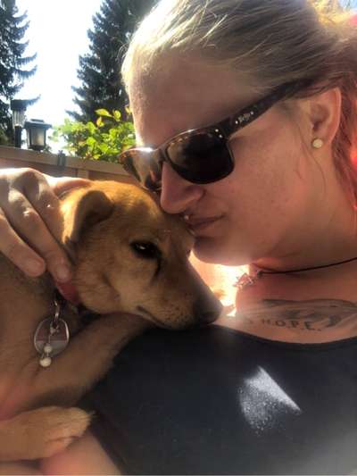 98.Fotochallange  - Hunde zeigen Zuneigung-Beitrag-Bild