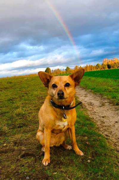 118. Fotochallange-Beitrag-Bild