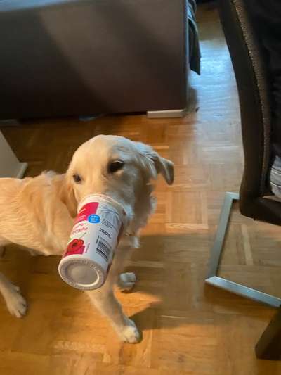 Hier ist der Spaßthread. Zum Schmunzeln und Kaputtlachen-Beitrag-Bild