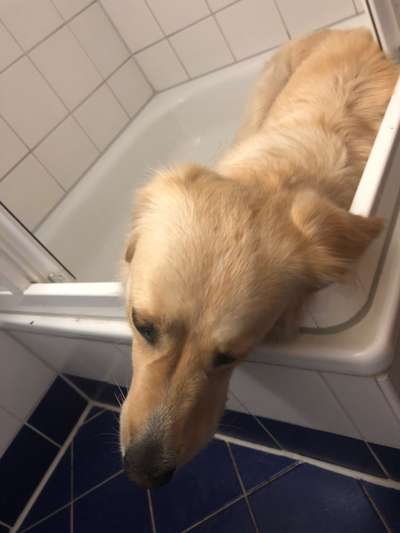 Fotochallenge 128-Beitrag-Bild