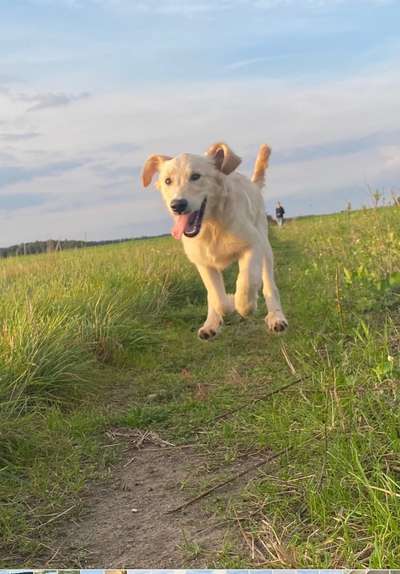 Foto Challenge Nr. 137 - Lass die Ohren fliegen-Beitrag-Bild