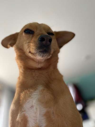 Her mit dem Grimassen-Beitrag-Bild