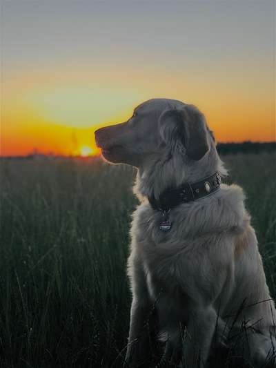 FOTOCHALLENGE 86-Beitrag-Bild