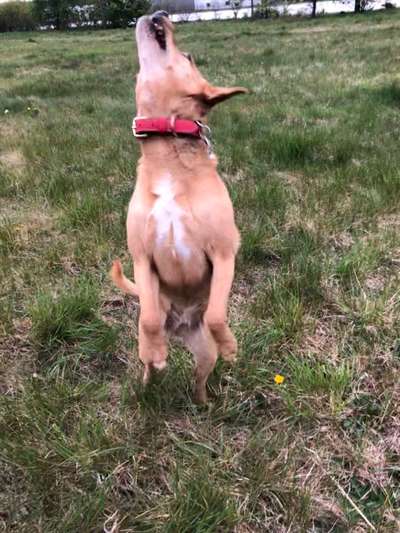 Fotochallange 84-Beitrag-Bild