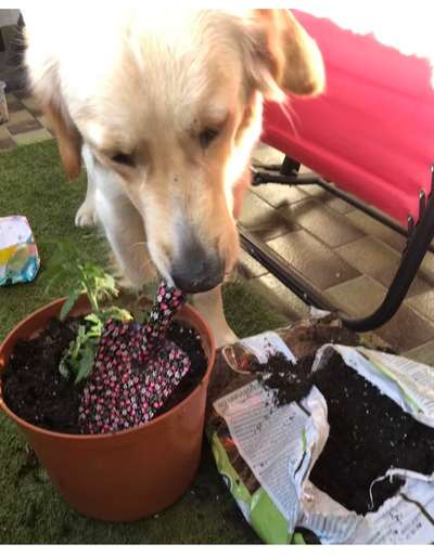 Fotochallenge 129-Beitrag-Bild