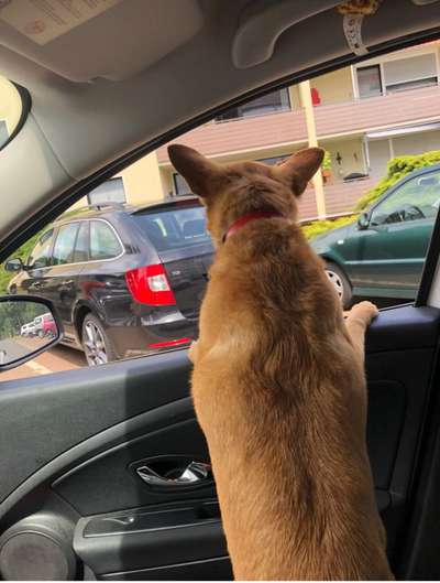 Fotochallenge 101:
On Tour-Beitrag-Bild