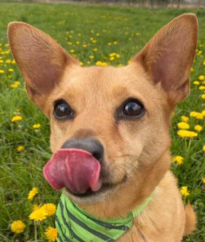 Fotochallange Nr. 57     PORTRÄT.   Beendet!!!!!!!!-Beitrag-Bild