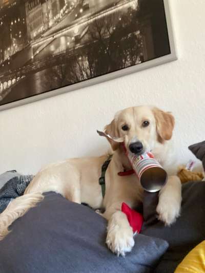 Fotochallenge Nr. 64-Beitrag-Bild