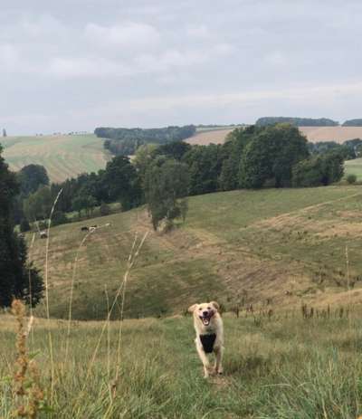 Fotochallenge Nr 107-Beitrag-Bild