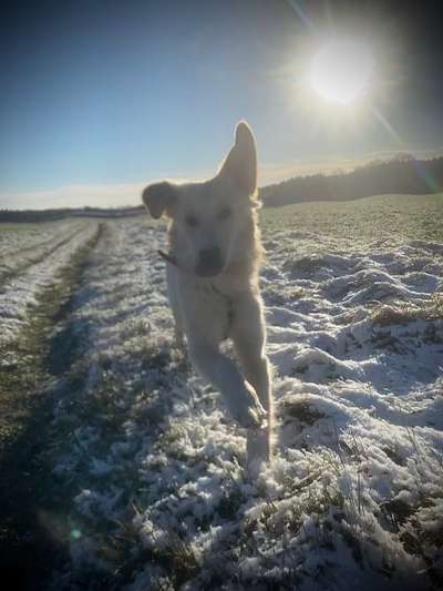 Fotochallenge 61 ~ Schnee-Beitrag-Bild