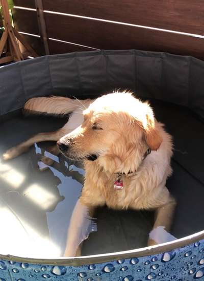 121. Fotochallenge-Beitrag-Bild