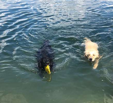 Fotochallenge 88-Beitrag-Bild