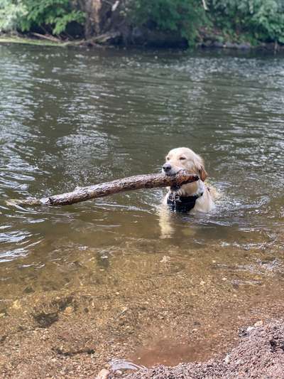 Wasserarbeit-Beitrag-Bild