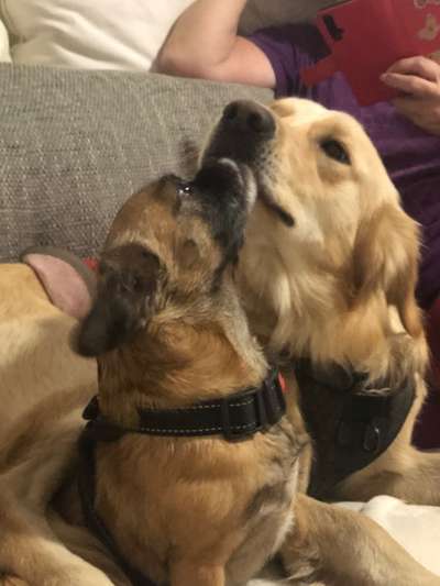 Foto Challenge Nr.: 115-Beitrag-Bild