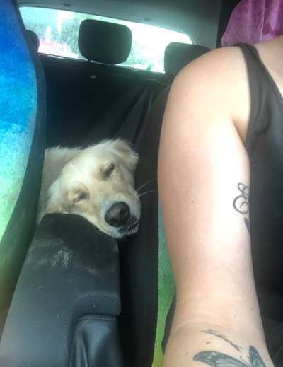 Fotochallenge 101:
On Tour-Beitrag-Bild