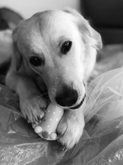 Foto-Challenge 76: Foto in Schwarz-Weiss-Beitrag-Bild