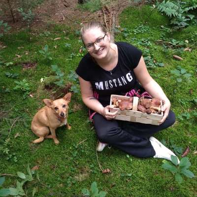 Wald Bild-Beitrag-Bild