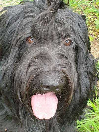 Fotochallange Nr. 57     PORTRÄT.   Beendet!!!!!!!!-Beitrag-Bild