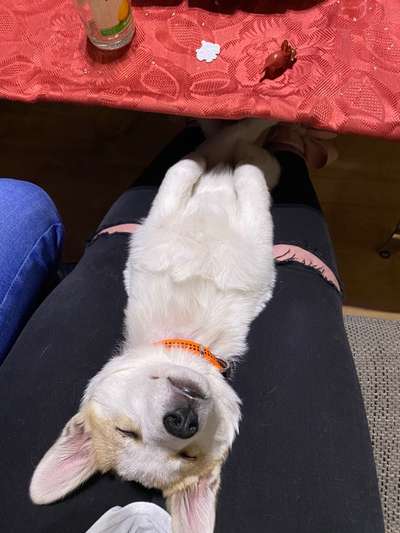 Die unbequemsten und lustigsten Schlafpositionen-Beitrag-Bild