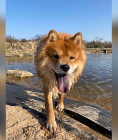 Zeigt eure Portraits-Beitrag-Bild