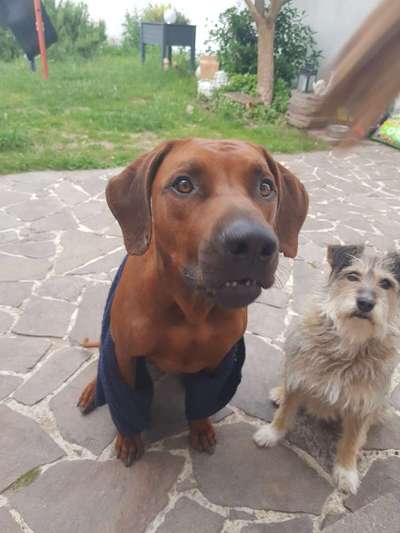 Challenge Nr. 10: "Das schönste Lächeln"-Beitrag-Bild