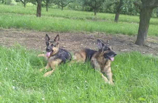 Lieblingsbild-Beitrag-Bild