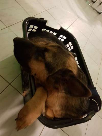 Lieblingsbild-Beitrag-Bild