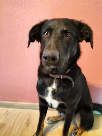 Doppelgänger gesucht !-Beitrag-Bild