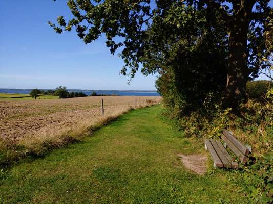 Hundeauslaufgebiet-Wälder um Noer-Bild