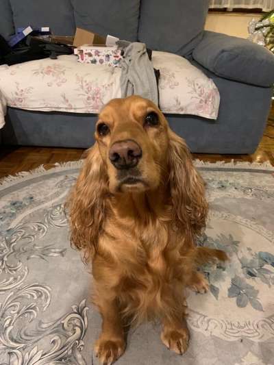 Handy-Foto Challange Nr. 10-Beitrag-Bild