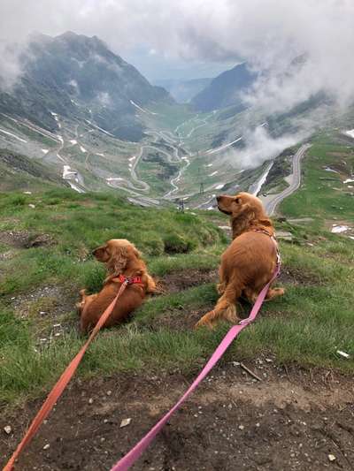 Fotochallenge Nr 107-Beitrag-Bild