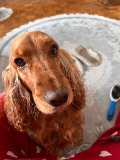 Handy-Foto Challange Nr. 10-Beitrag-Bild