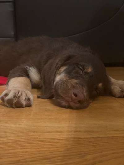 Foto Challenge 3-Beitrag-Bild