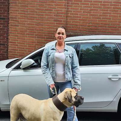 Hundetreffen-Hallo ich suche für meine Hündin Shiva jemanden zum spielen und spazieren gehen.-Bild