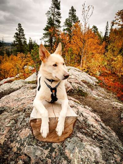 Theos  Fotochallenge Nummer 2-Beitrag-Bild