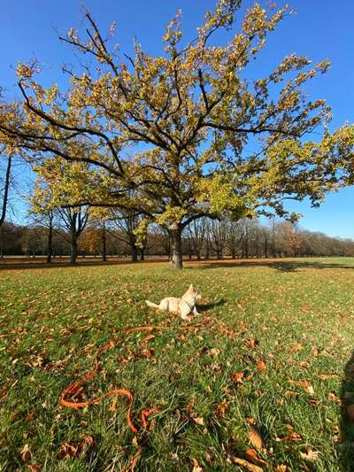 Foto Challenge 2 BEENDET 
Bitte aktuelle Challenge nutzen-Beitrag-Bild