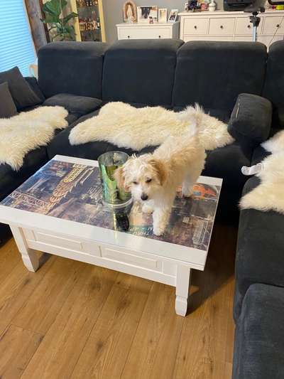 Fotochallenge 113: Auf frsicher Tat ertappt-Beitrag-Bild