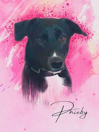 Lieblingsbild-Beitrag-Bild