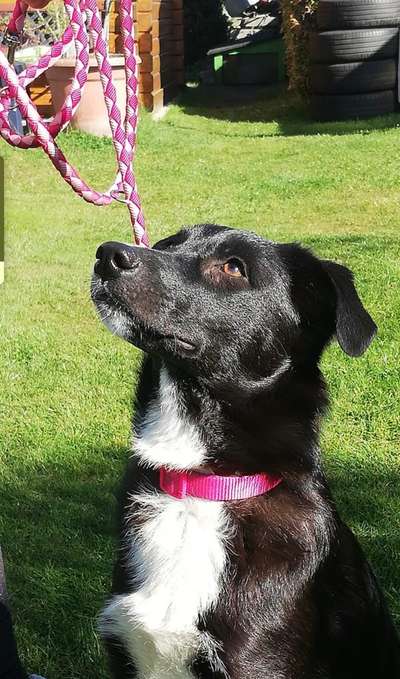 Lieblingsbild :D-Beitrag-Bild