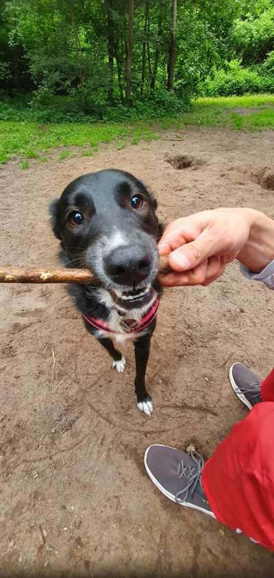 Theos Fotochallange Nummer 4-Beitrag-Bild