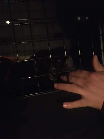 Unser Nachwuchs-Beitrag-Bild