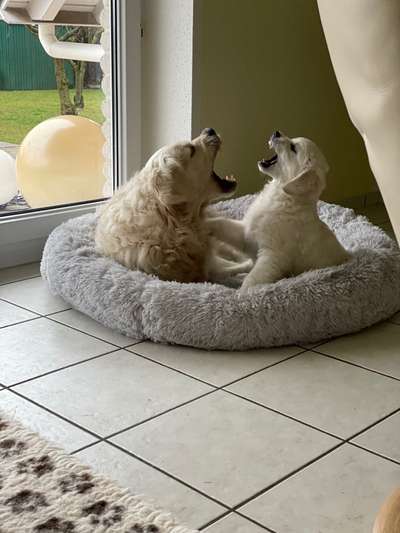 Her mit dem Grimassen-Beitrag-Bild