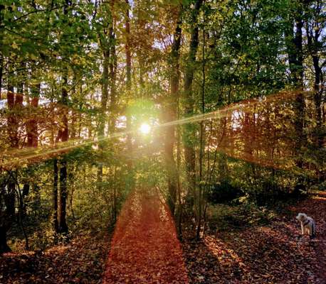 Farben Fotochallenge Sonnenlicht-Beitrag-Bild