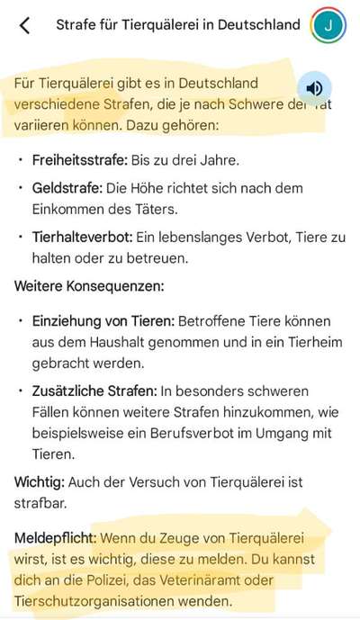 Hunde im Auto bei hohen Außentemperaturen-Beitrag-Bild